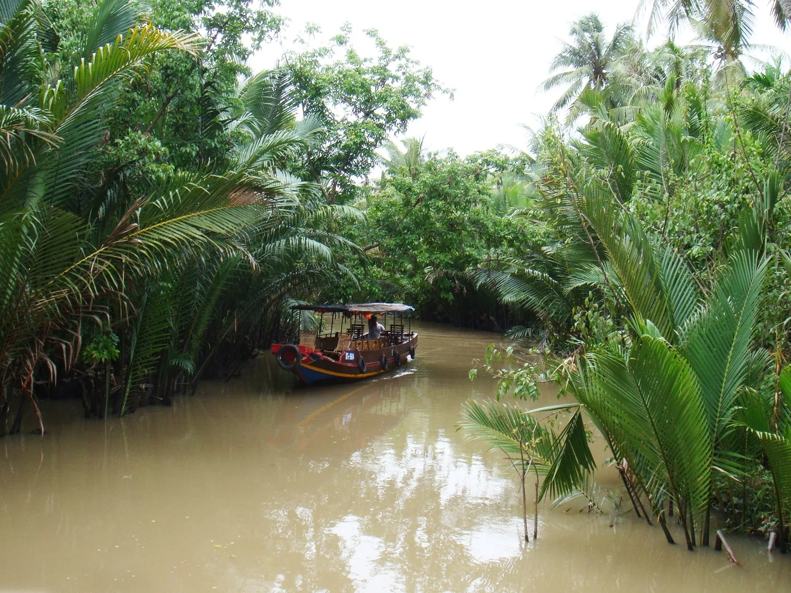 A wooden boat glides along a narrow, palm-lined canal in the Mekong Delta, Vietnam.