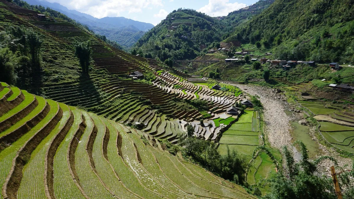 Green rice terraces cascade down a valley beside a rocky stream near Sapa, Vietnam.