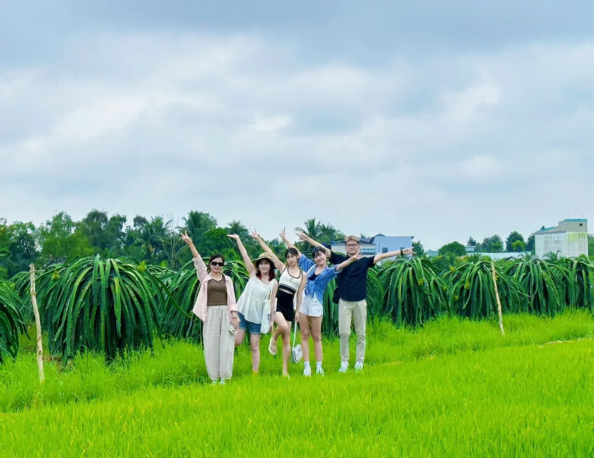 A group of friends pose cheerfully in a green rice paddy beside dragon fruit plants in the Mekong Delta.