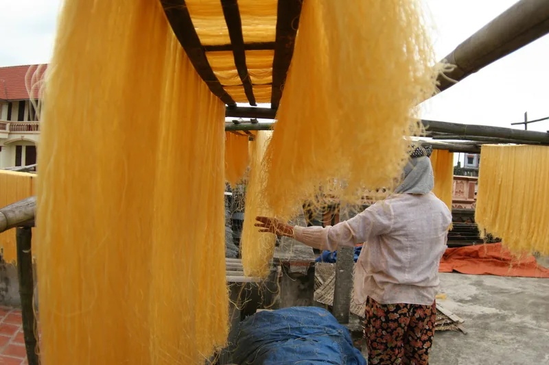 A woman arranges bundles of golden vermicelli noodles drying on bamboo racks in a village near Hanoi.