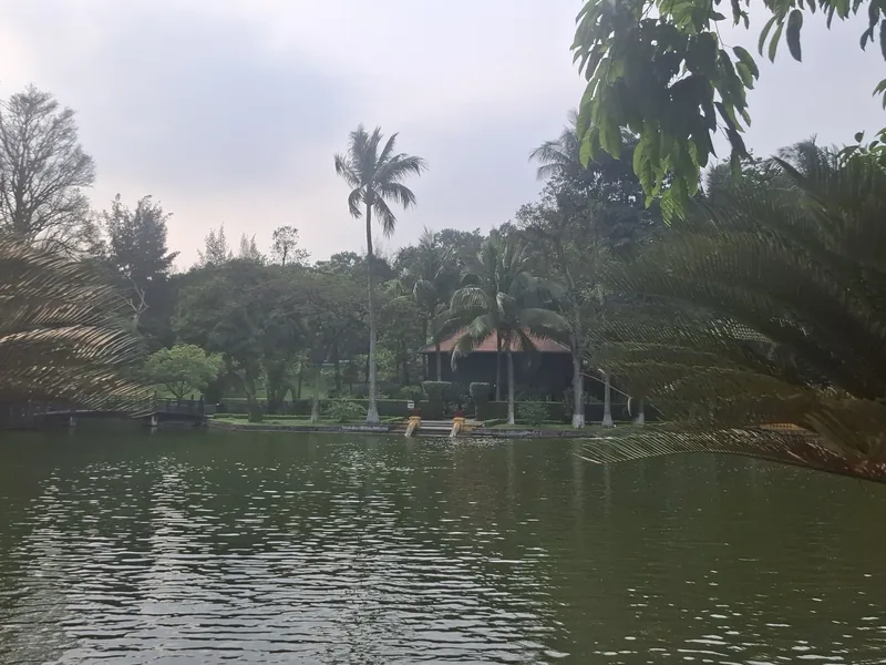 A calm lake reflects palm trees and a small pavilion along its green shoreline in Hanoi.