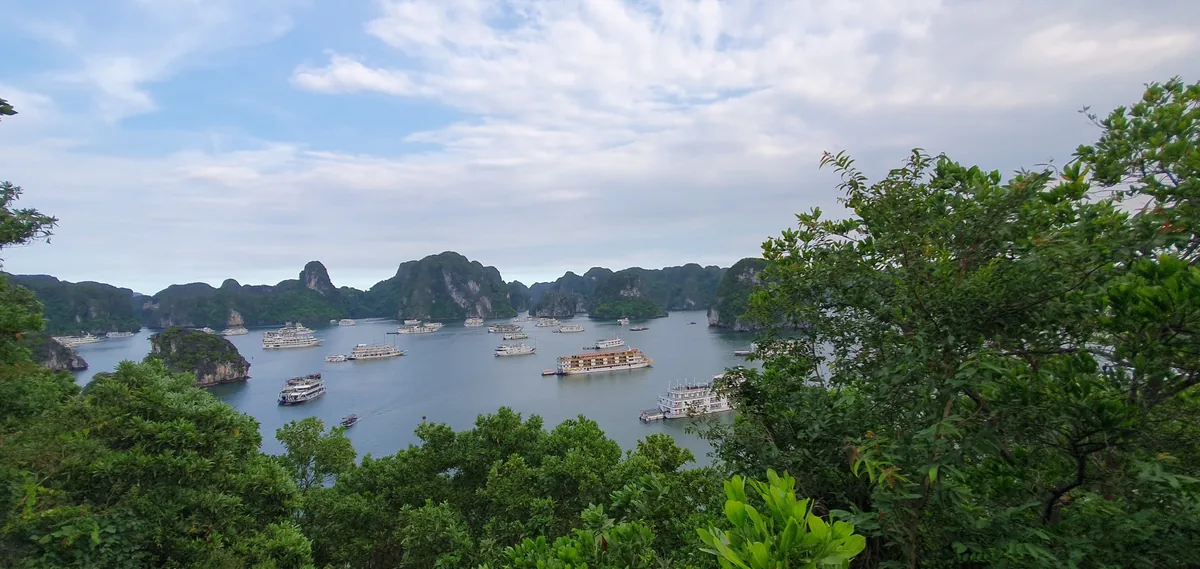 A viewpoint framed by green foliage overlooks limestone karsts and cruise boats scattered across Halong Bay's waters.