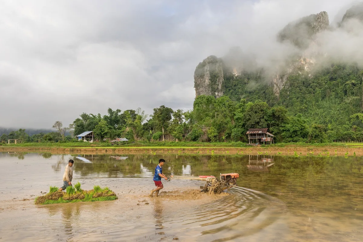 Two farmers work a flooded rice paddy with a small tractor beneath misty limestone karsts near Vientiane.