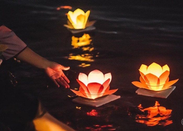 Paper lotus lanterns floating on dark water