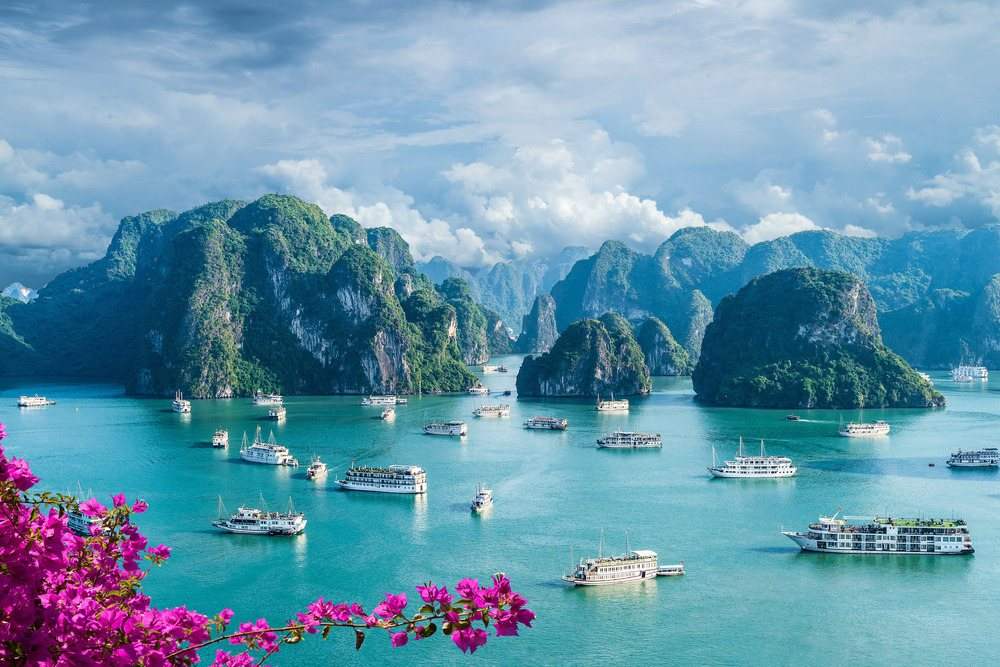 Bougainvillea framing the boats and islands of Ha Long Bay
