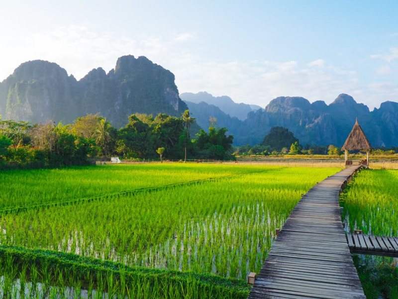 Wooden walkway crossing bright green paddy fields below limestone peaks