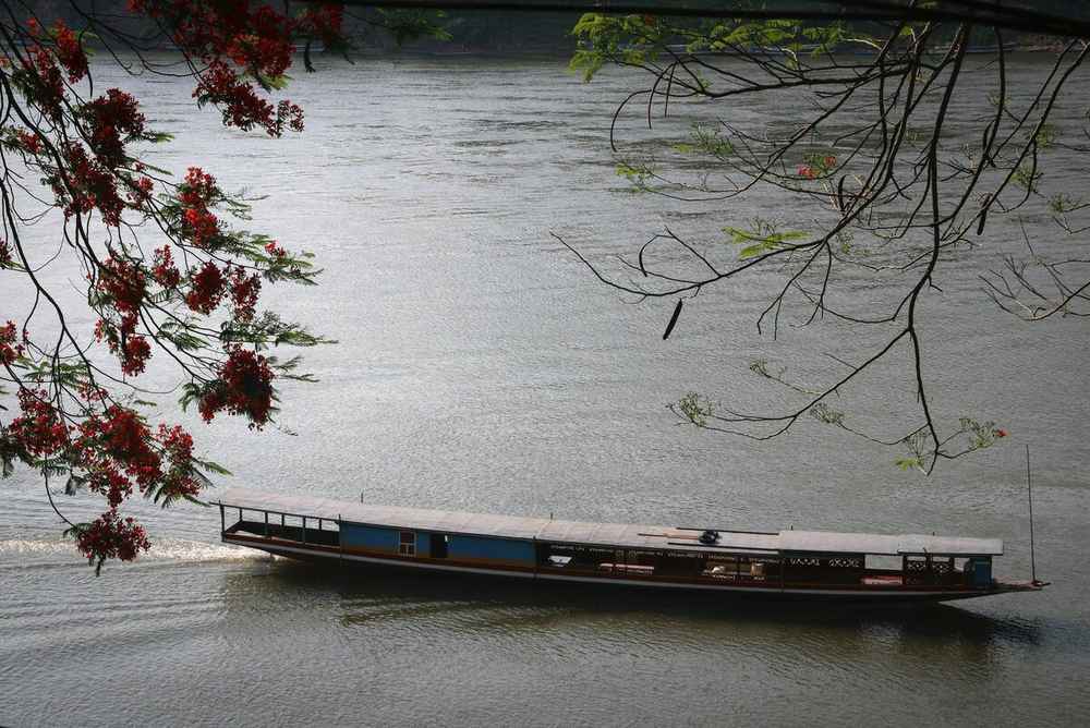 Long-tail boat gliding downstream past low green banks