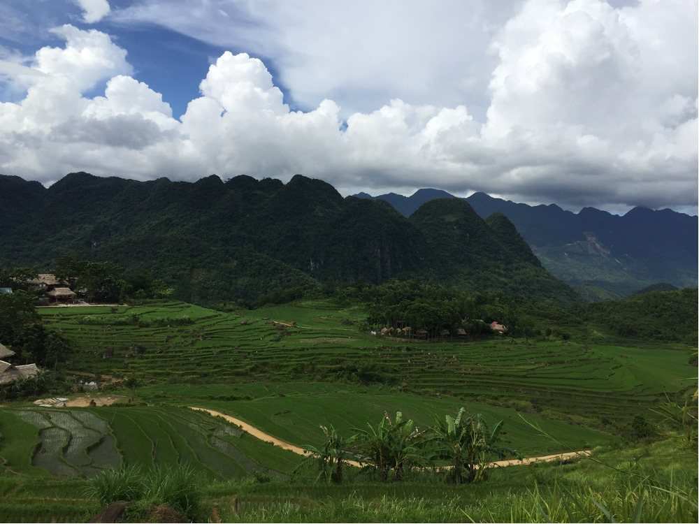 Wide valley of paddy fields ringed by limestone hills