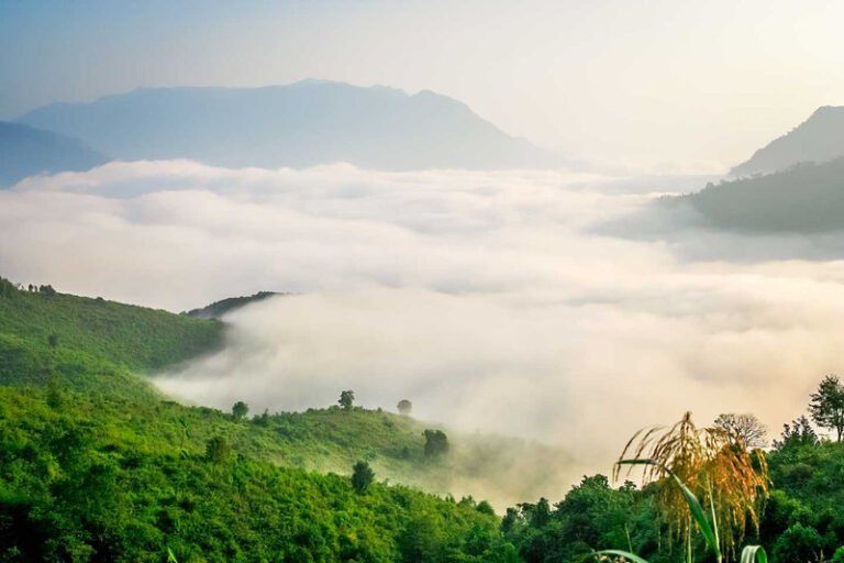 Cloud filling a green valley below forested ridges