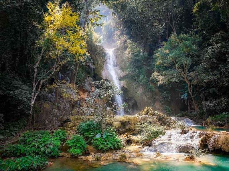 Forest waterfall dropping into shallow pools