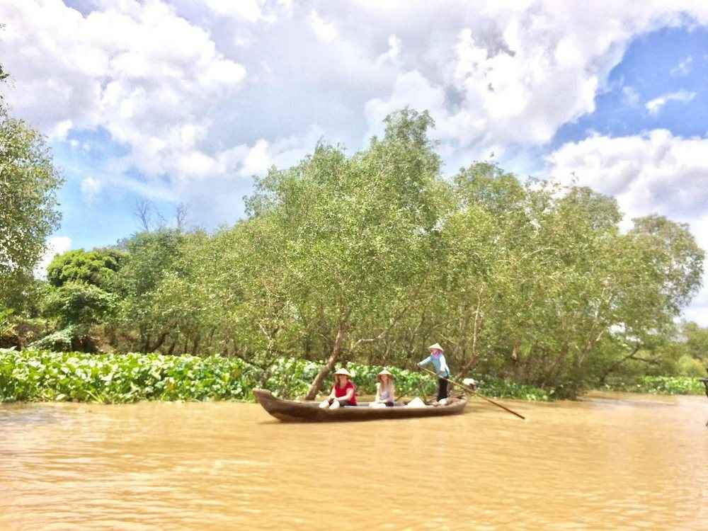 Sampan drifting past mangroves on a muddy river